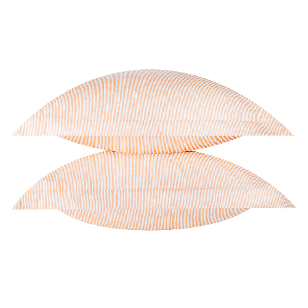 Набор наволочек Аврора 200 TC limited Б Набор наволочек Аврора 200 TC limited Б