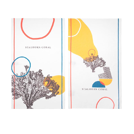 Набор полотенец столовых Modern Coral