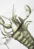 Комплект полотенец столовых Crayfish
