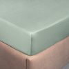 Простыня Стефания Mint 300 ТС на резинке