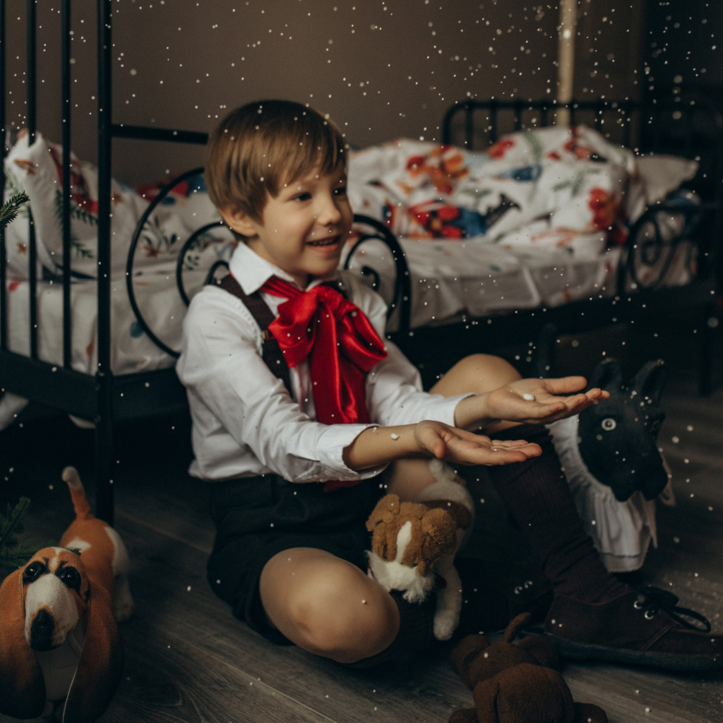 Комплект постельного белья Щелкунчик 200 TC