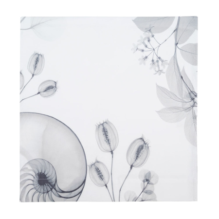 Дорожка столовая Радиография