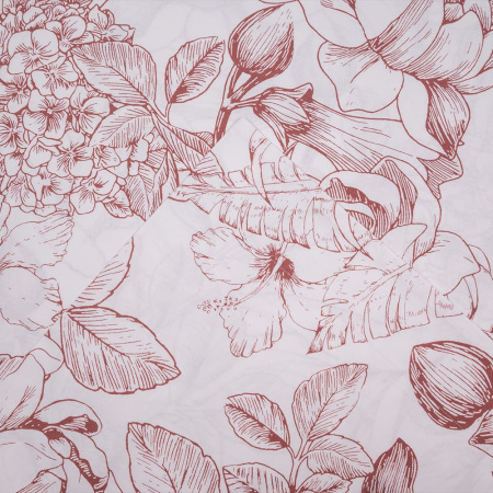 Набор наволочек Моника 200 TC limited A Набор наволочек Моника 200 TC limited A