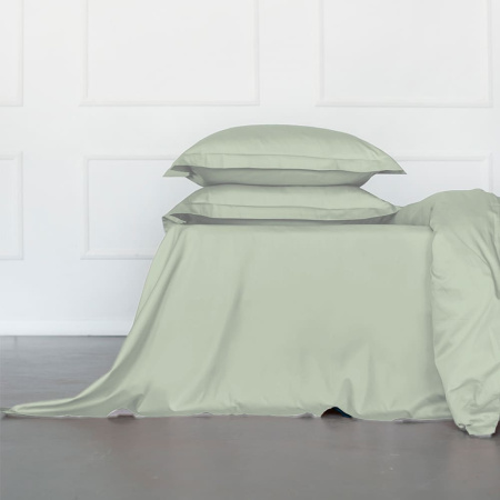 Комплект постельного белья Стефания Olive 300 ТС