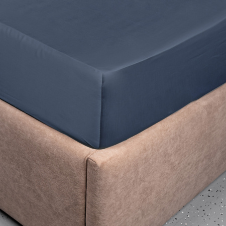 Простыня Shiny Thunder 300 ТС на резинке