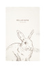Комплект полотенец столовых Rabbit