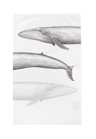 Комплект полотенец столовых Blue whale